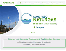 Tablet Screenshot of naturgas.com.co